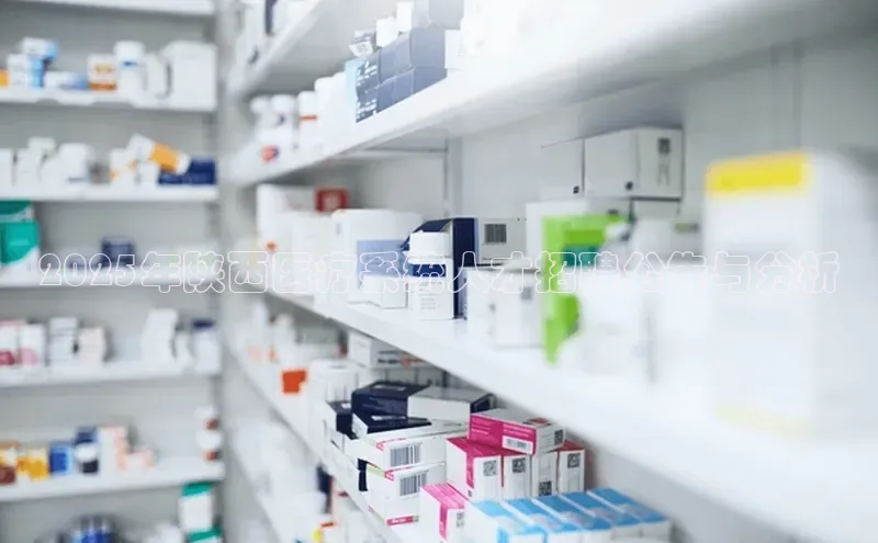 杏宇代理登录中心